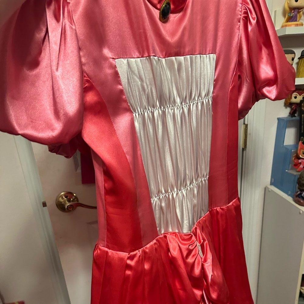 Princess Peach Costume adult size